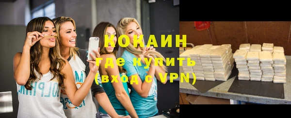 хмурый Пересвет