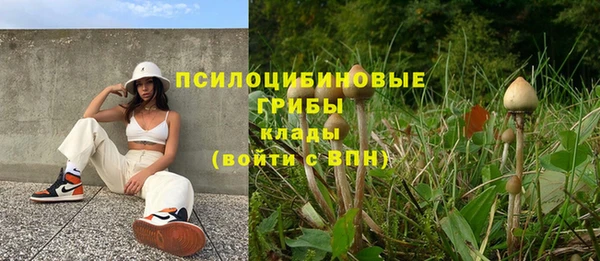 хмурый Пересвет