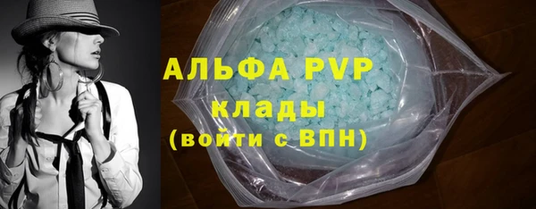 сатива Баксан