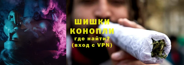 сатива Баксан
